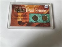Two Centuries of Indian Head Pennies 1800s/1900s