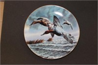 Collectable Plate "Canvasbacks"