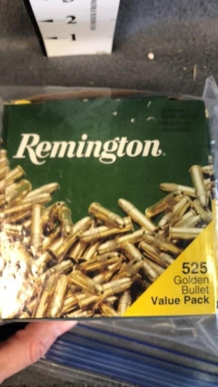 remington 22 long rifle brass plated hollow points