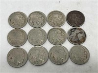 12 Buffalo Nickels