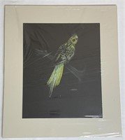 Pastel Cockatiel by L. Carson, Original Artwork,