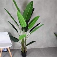 Artificial Banana Tree with Black Pot  180cm