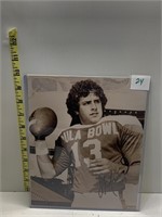 SIGNED PICTURE DAN MARINO #13 FROM HULA BOWL