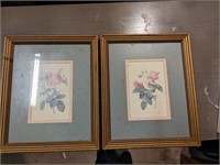 Set of two framed vintage floral prints