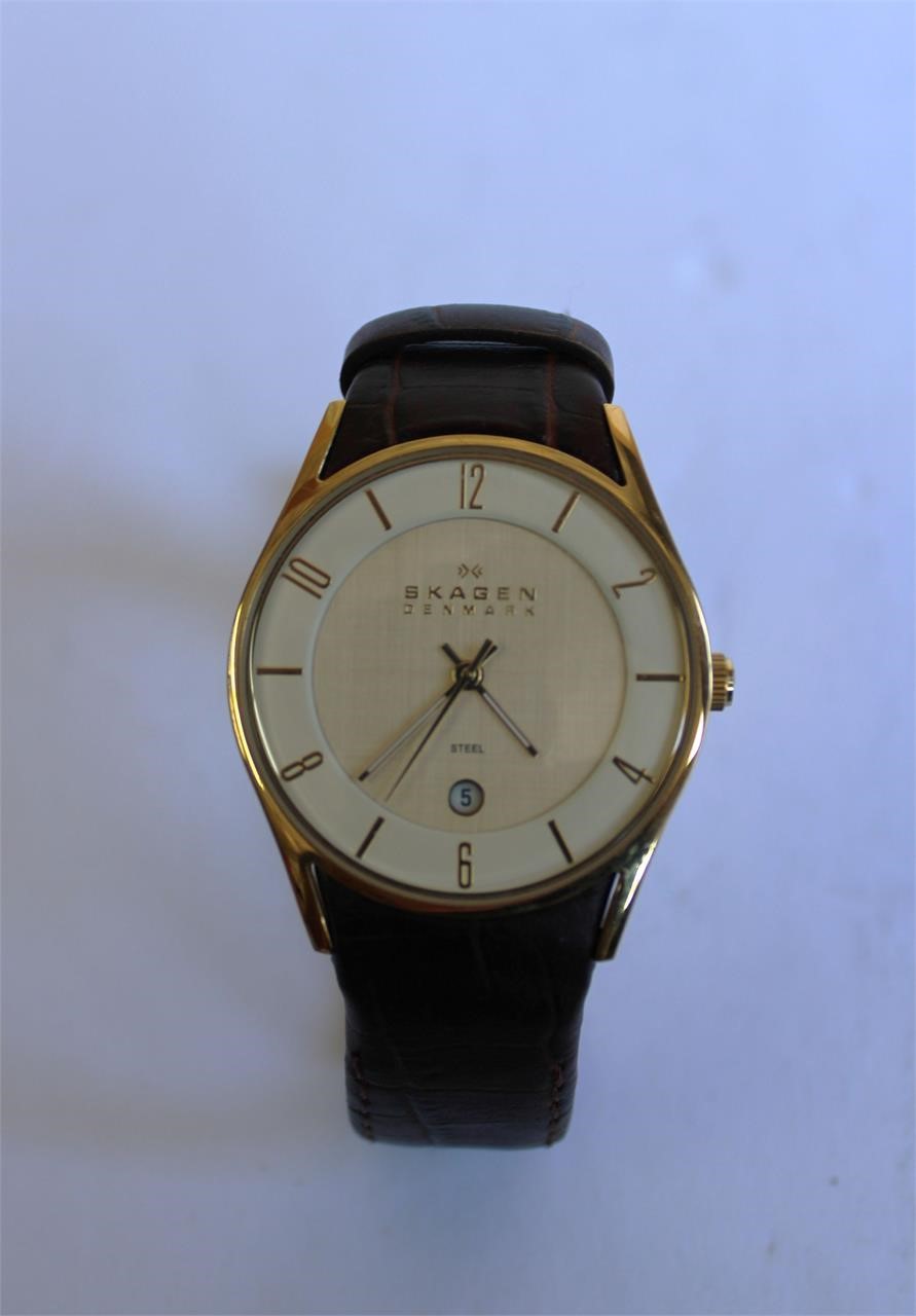 Skagen Denmark Mens Watch