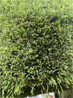 Artificial Grass 43.07 Sq. Ft. ( Pre-owned)