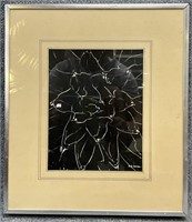 Abstract Floral Art Photography Under Glass