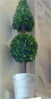 Boxwood Topiary with Concrete Base