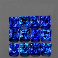 Natural Royal Blue Princess Sapphire 12 Pcs [Flawl