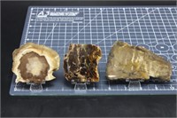 Misc. Western U.s. Petrified Wood, 3 Pieces, 5oz