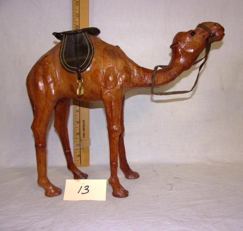 composition camel decor