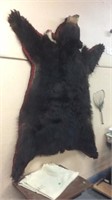 VERY LARGE BLACK BEAR RUG, 6FT TIP OF NOSE TO TAIL