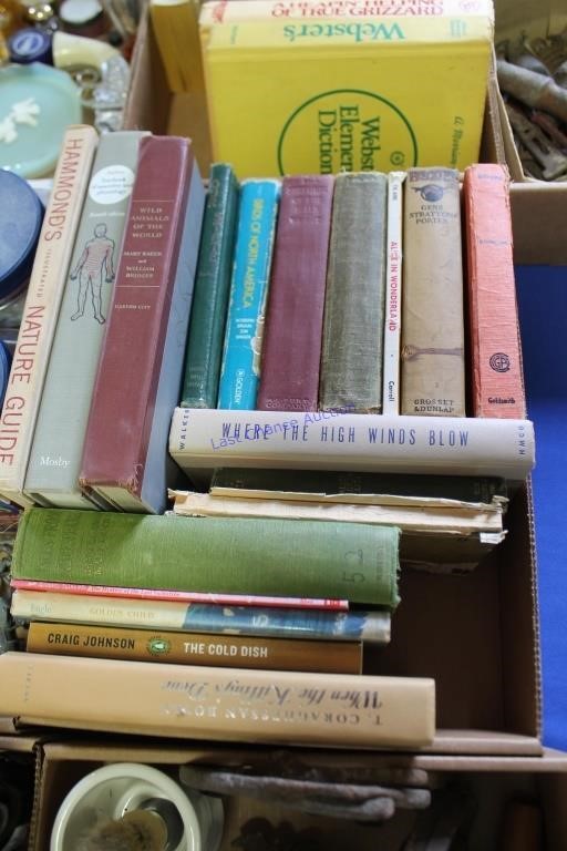 Lot #1 Vintage Books