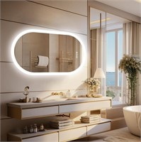 Wisfor Oval LED Bathroom Mirror: 48 x 24 Inch Illu