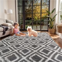 SEALED - Soft Geometric Modern Area Rug - Shaggy T