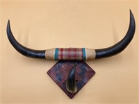 18” Mounted Bull Horn Display