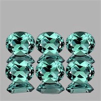 Natural Paraiba Green Apatite 6 Pcs (Flawless-VVS)