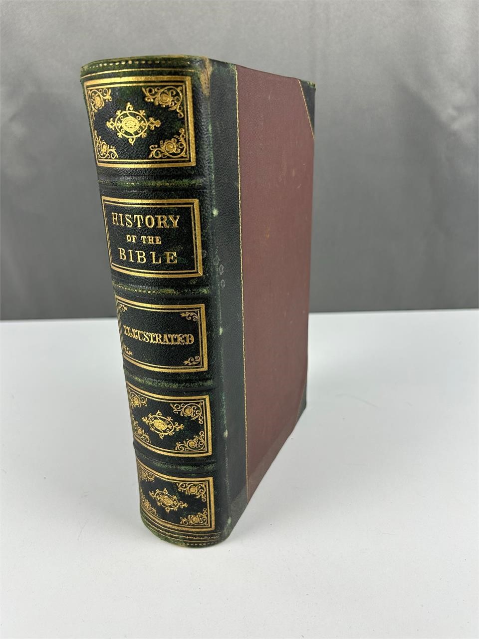 1868 Illustrated History of the Holy Bible