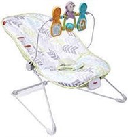 Fisher-Price Baby's Bouncer, Green/Blue/Grey