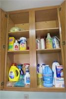 Contents of Cabinet: Laundry & Cleaning