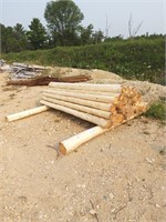 Cedar Posts