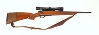 Remington Mohawk 600 6mm REM bolt action,