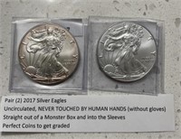 Uncirculated 2017 silver eagles