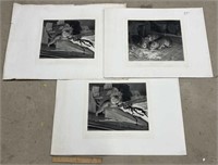 Cat Themed Engravings Lot of 3