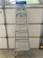 Werner 6 Foot Ladder