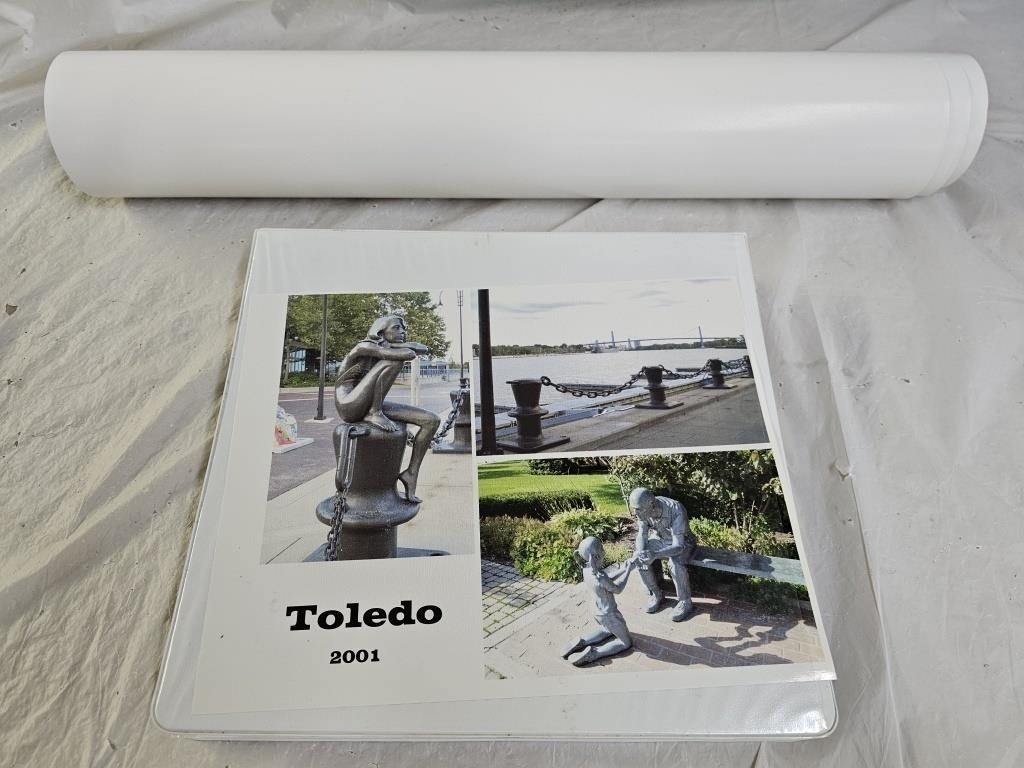 Toledo Ohio "It's Reigning Frogs" Poster & Album