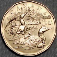 Canada 2002 Loonie Dollar Family of Loons