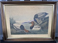 John J Audubon-Canvas Backed Duck