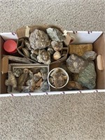 Box of rocks and fossils