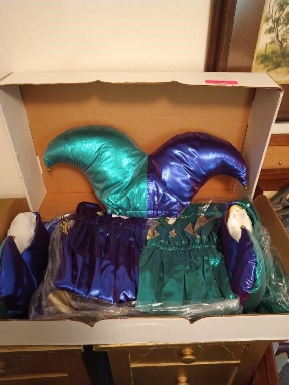 Jester costume, size unknown