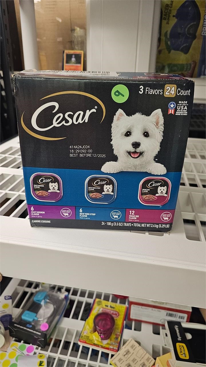 Ceaser dog food 24count