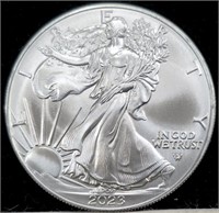 2023 American 1oz. Silver Eagle Coin Uncirculated