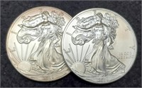 (2) 2013 Silver Eagles BU