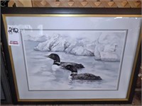 27" X 42" Loon Picture