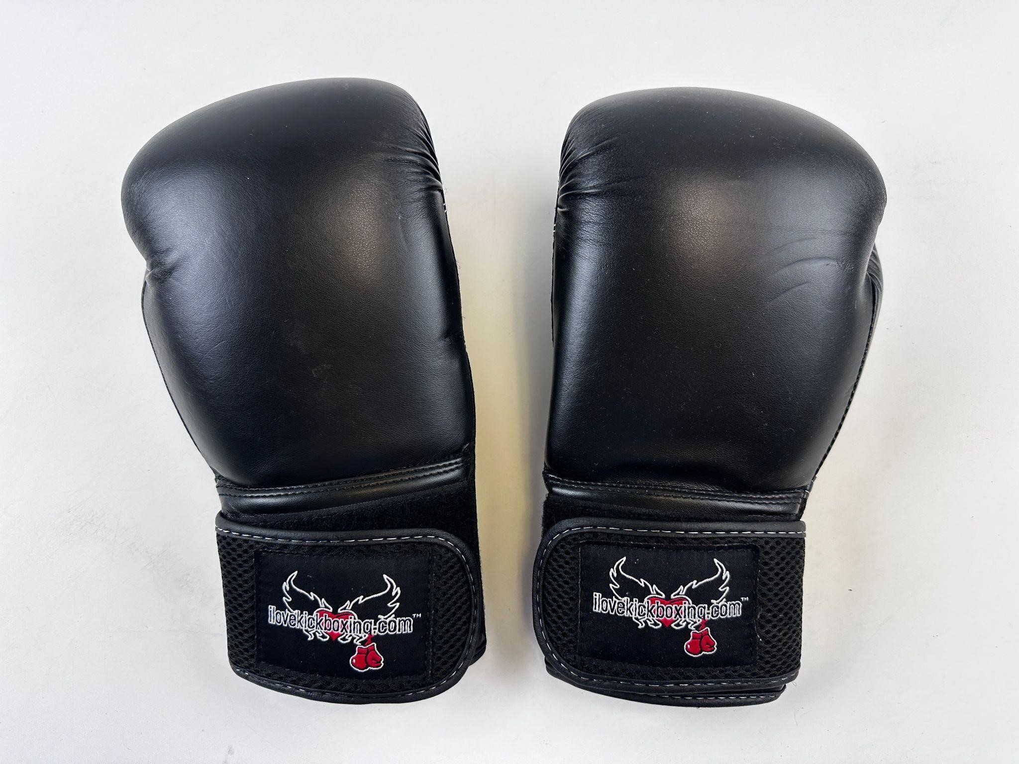 12 oz I Love Kickboxing Gloves
