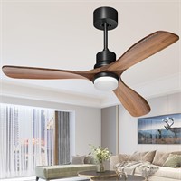 Obabala Ceiling Fans with Lights and Remote Indoor