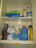 Contents of 2 Shelves-Iron & Cleaning Products