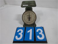 EVEREADY FAMILY SCALES