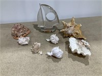 Sea shells, sail boat weight