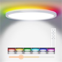 Sealed- Royana Dimmable RGB Ceiling Light
