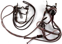 RARE HORSEHAIR POLYCHROME HITCHED BRIDLE PRISON