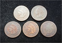 Lot of Five Indian Head Pennies