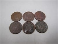 Lot of 6 1800's Indian Head Pennies
