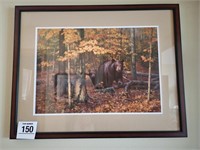 Bear picture S/N 26" x 32"