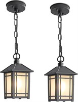 2 Pack Lzwelcy Outdoor Pendant Lights