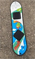 SNOW BOARD